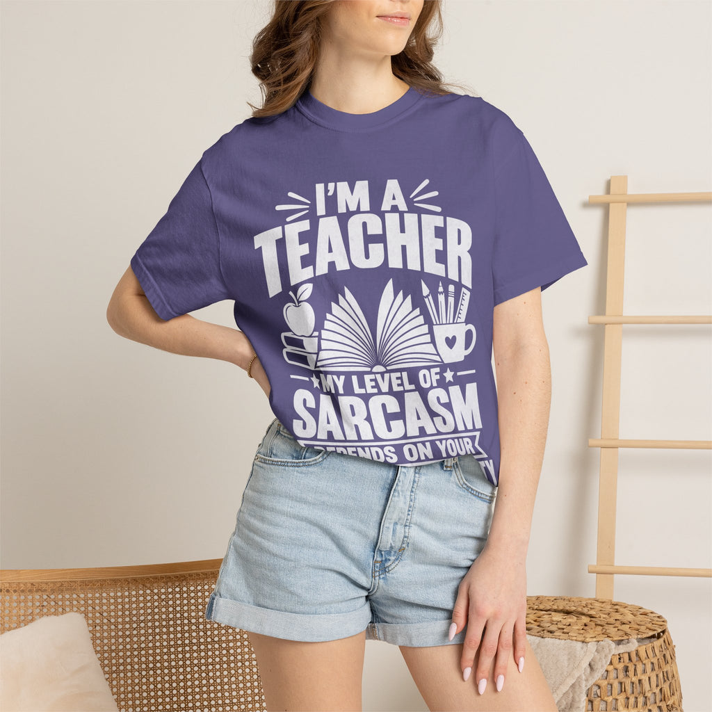 Teacher Sarcasm T-Shirt — "I'm a Teacher, My Level of Sarcasm Depends on Your Level of Stupidity"