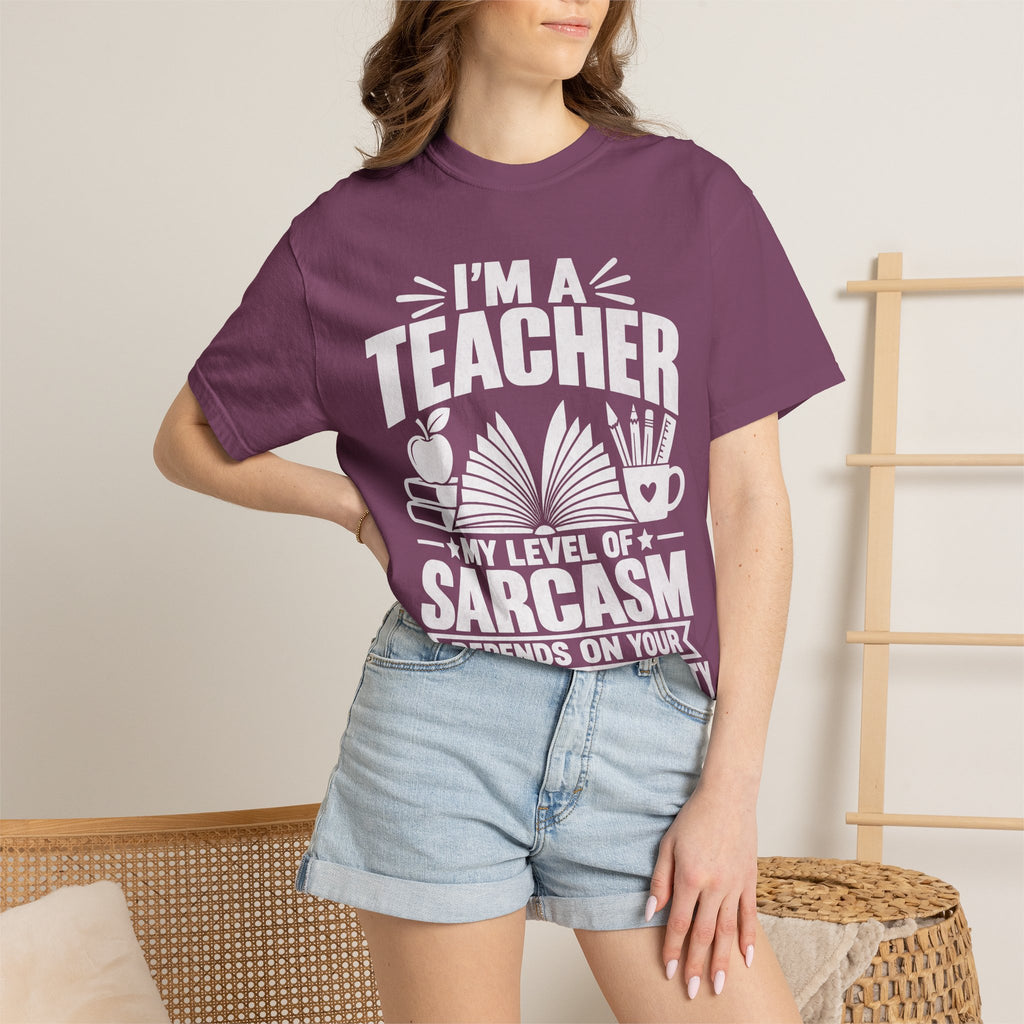 Teacher Sarcasm T-Shirt — "I'm a Teacher, My Level of Sarcasm Depends on Your Level of Stupidity"